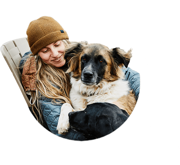 Dog sitting on woman's lap